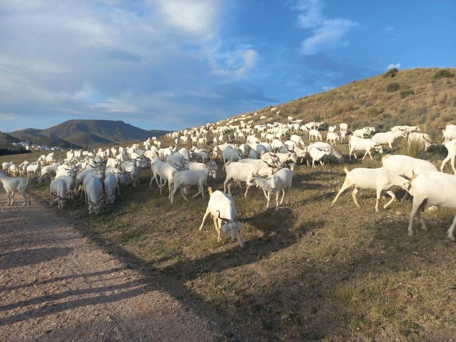 Casa La Pita Сasa de vacaciones